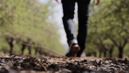 Man Walking in Forest