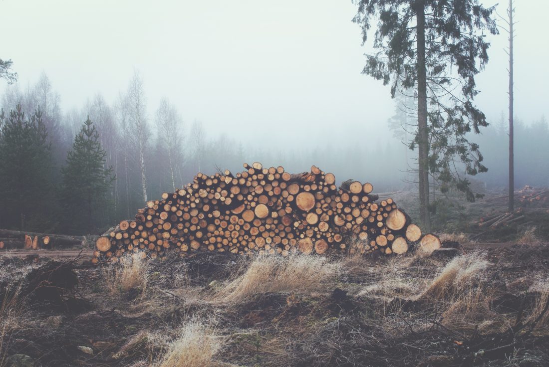 Free stock image of Large Stack Logs