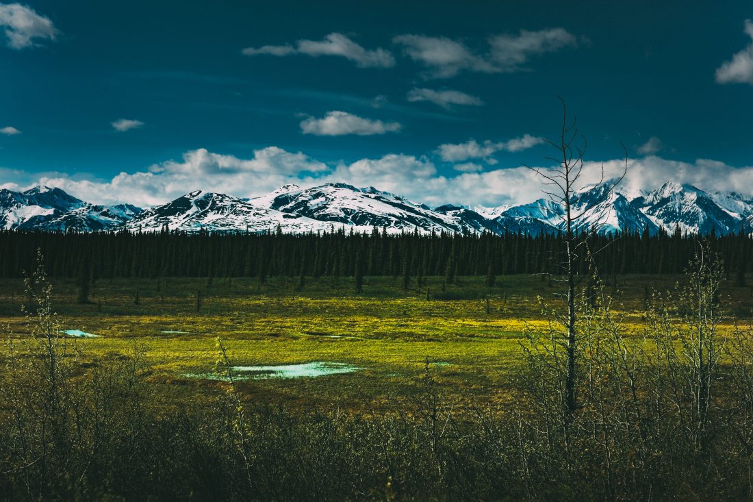 Free stock image of Alaskan Landscape