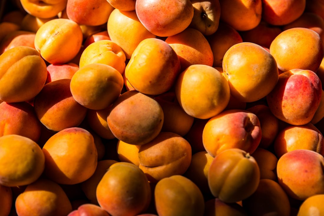 Free stock image of Apricots