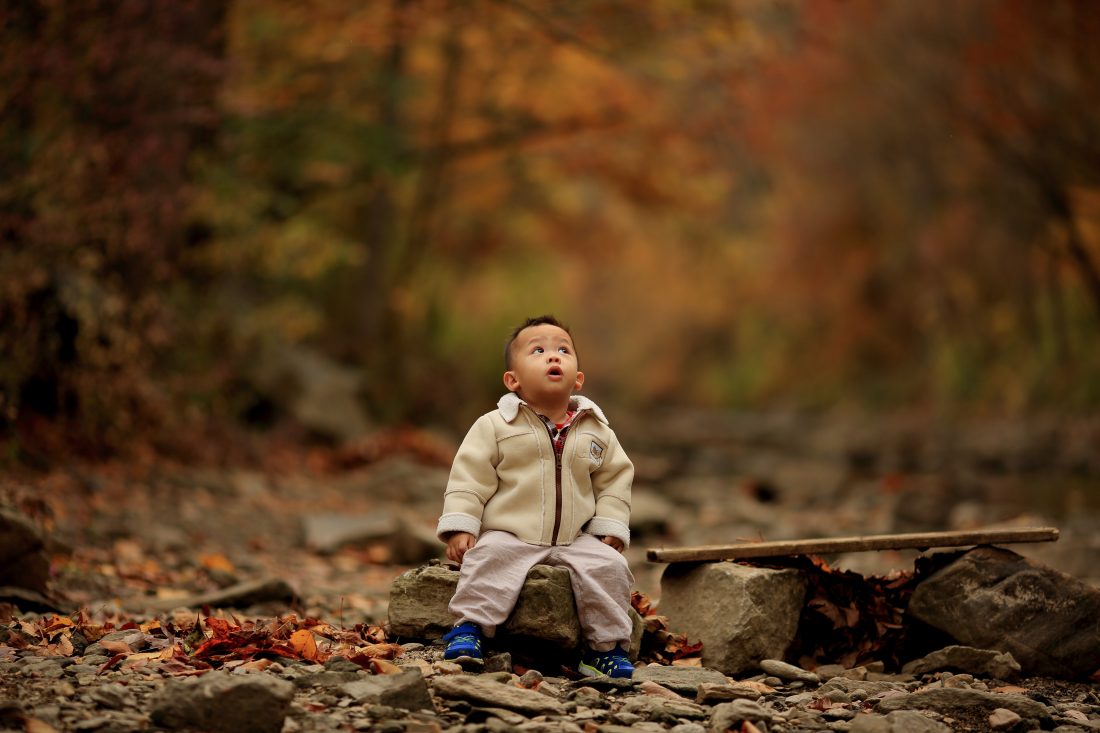Free stock image of Autumn Child