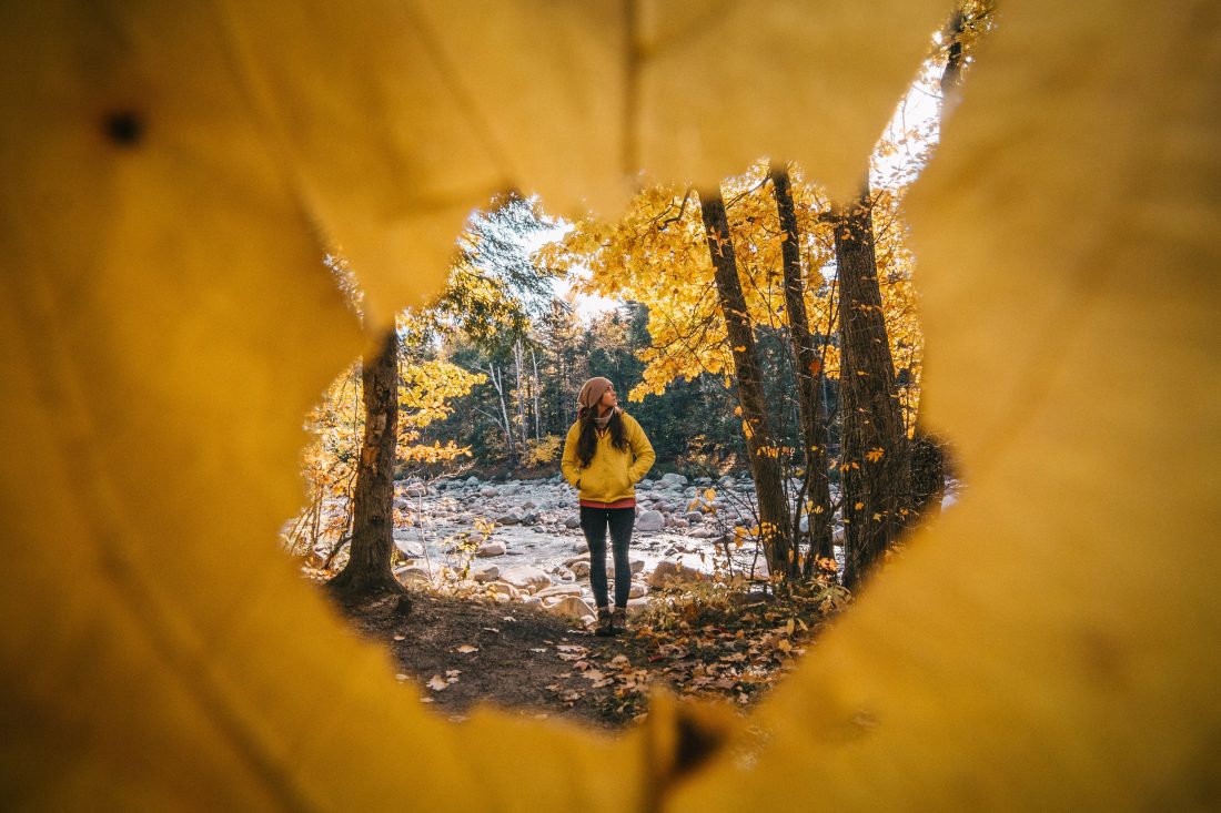 Free stock image of Autumn Hiker