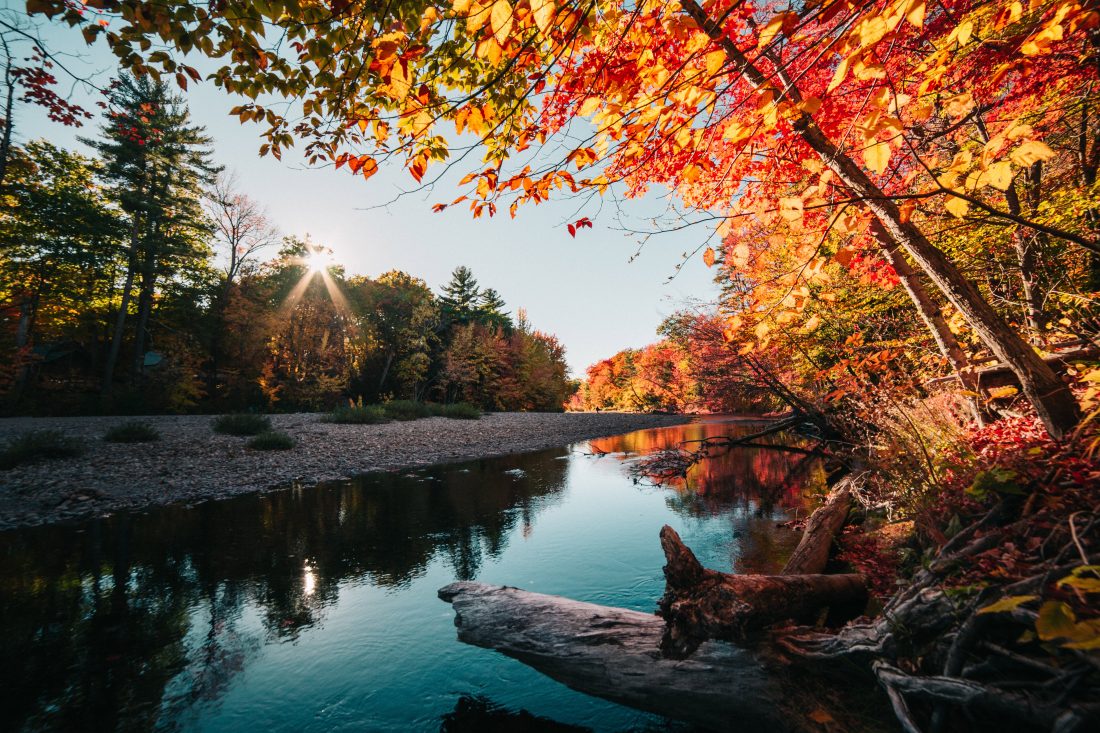 Free stock image of Calm River in the Autumn