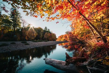 Calm River in the Autumn