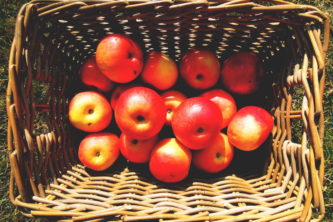 Free stock image of Basket of Apples
