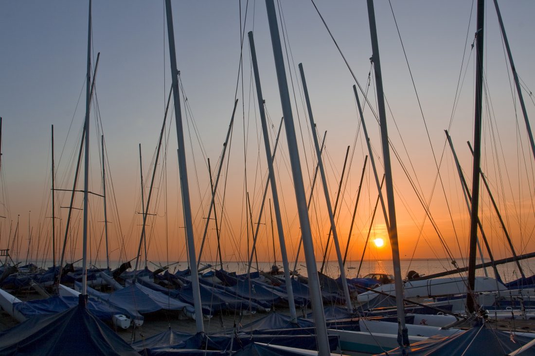 Free stock image of Boat Masts At Sunset