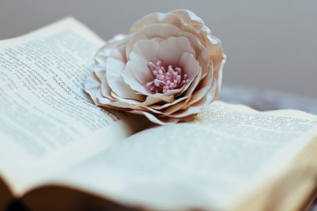 Book & Flower