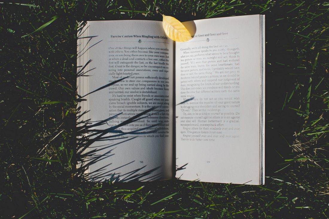 Free stock image of Book in Grass