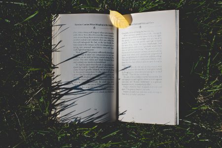Book in Grass