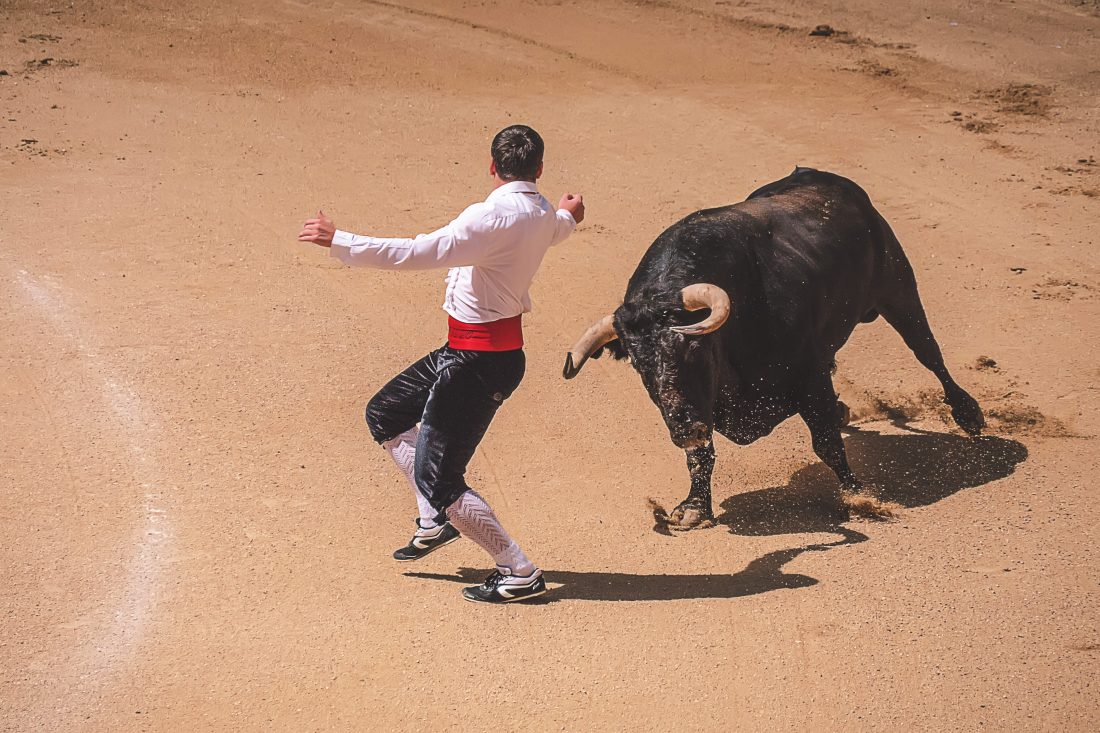 Free stock image of Bullfighting in Madrid