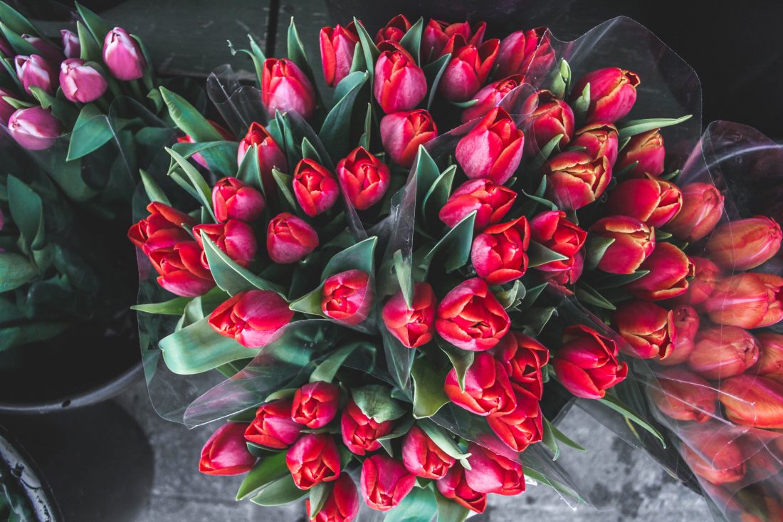 Bunches of Flowers Free Stock Photo - ISO Republic