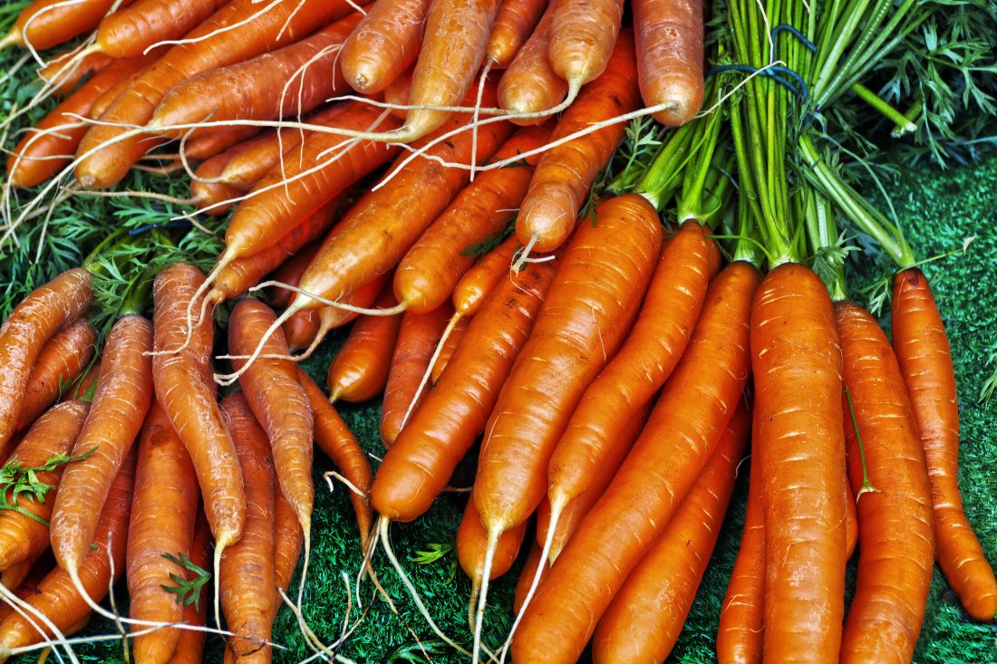 Free stock image of Carrot Vegetables