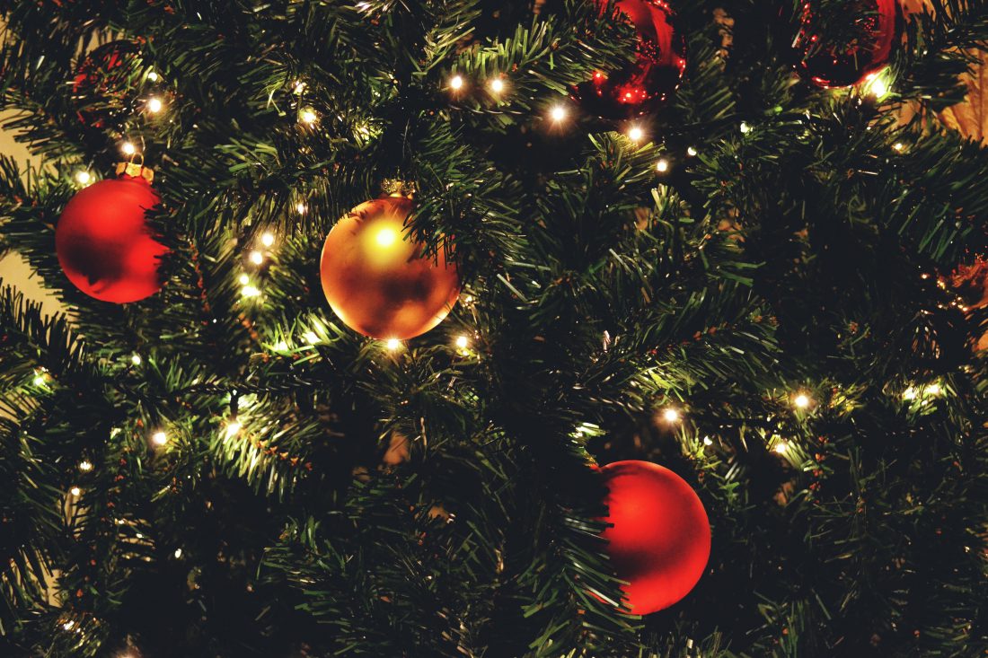 Free stock image of Christmas Tree Lights