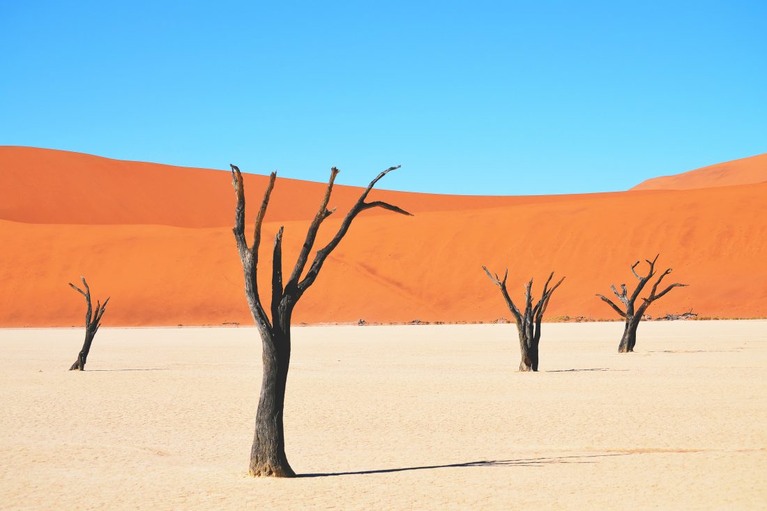 Free stock image of Desert Landscape