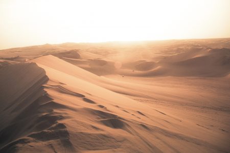 Desert Landscape