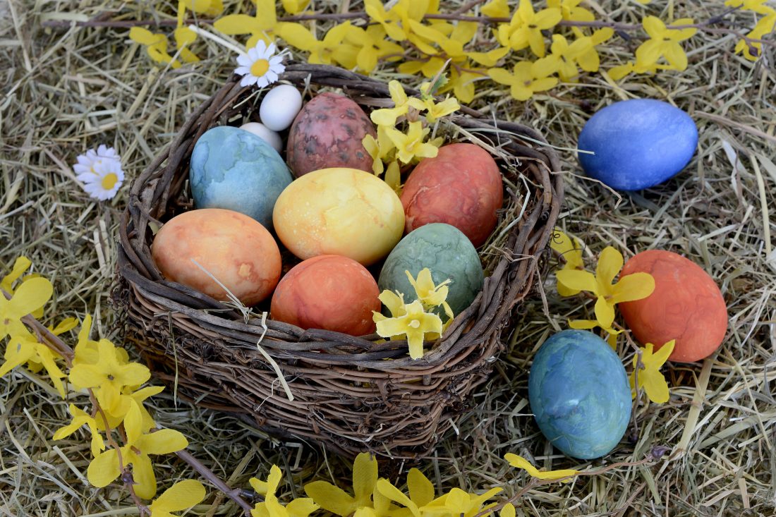 Free stock image of Easter Eggs Nest