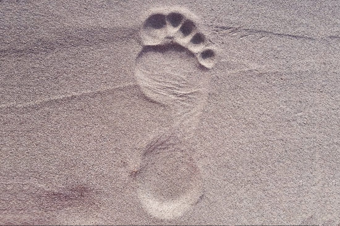 Free stock image of Footprint in Sand