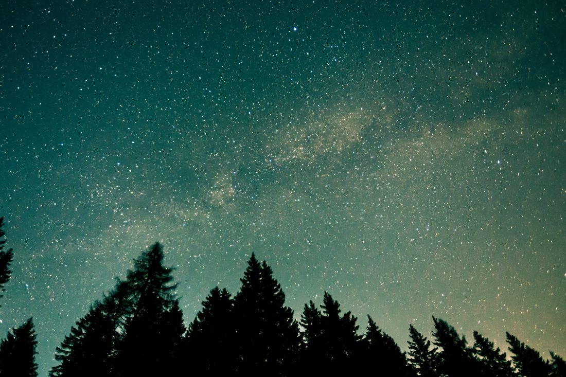 Free stock image of Forest Stars at Night