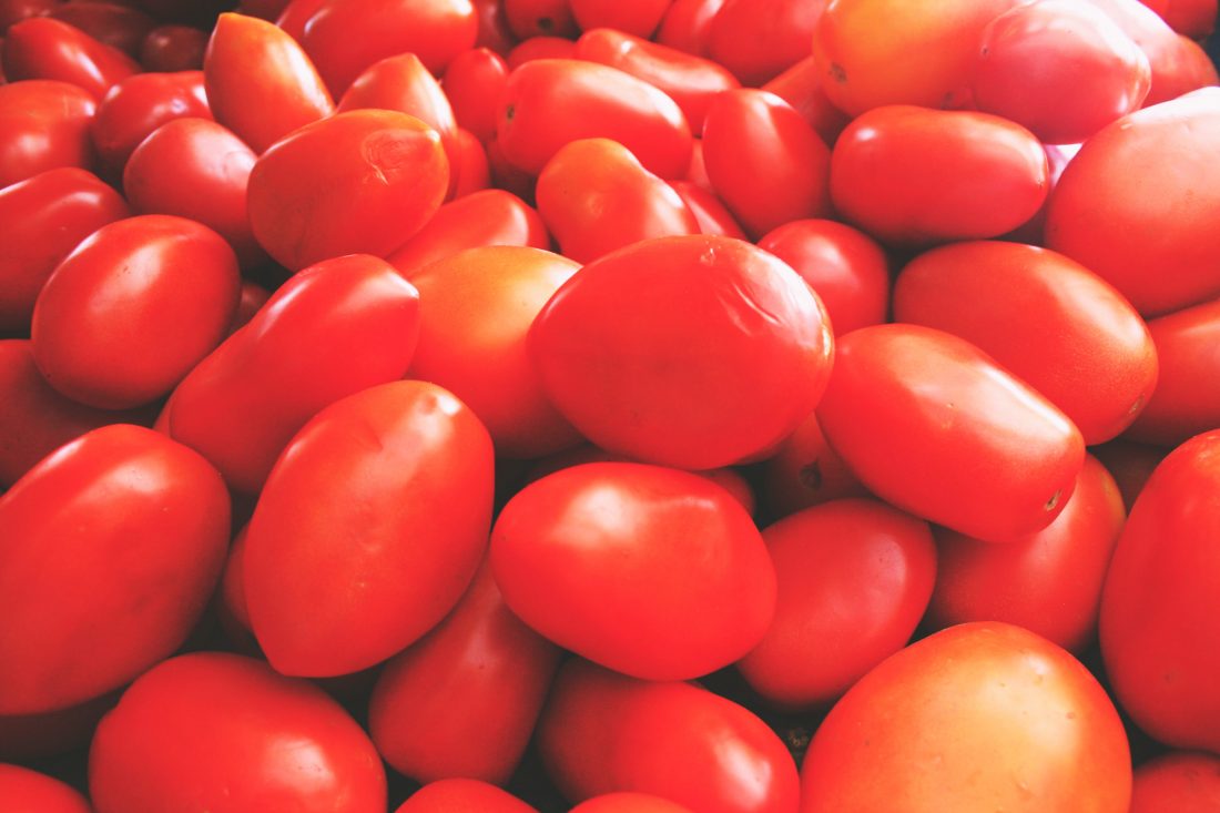 Free stock image of Fresh Tomatoes