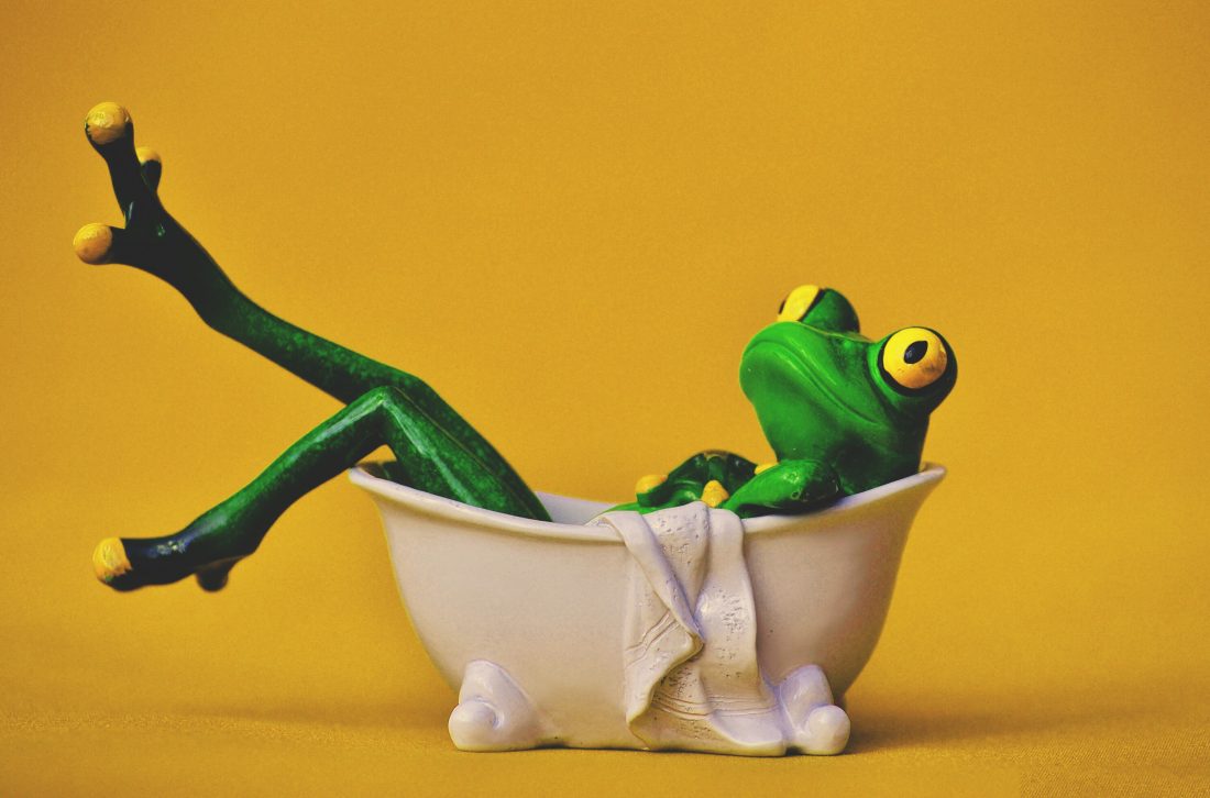 Free stock image of Frog in Bath