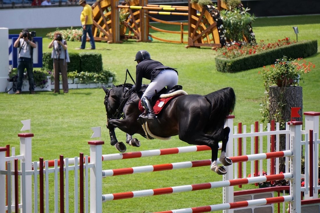 Free stock image of Horse Jumping