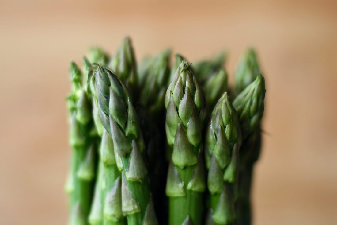 Free stock image of Asparagus