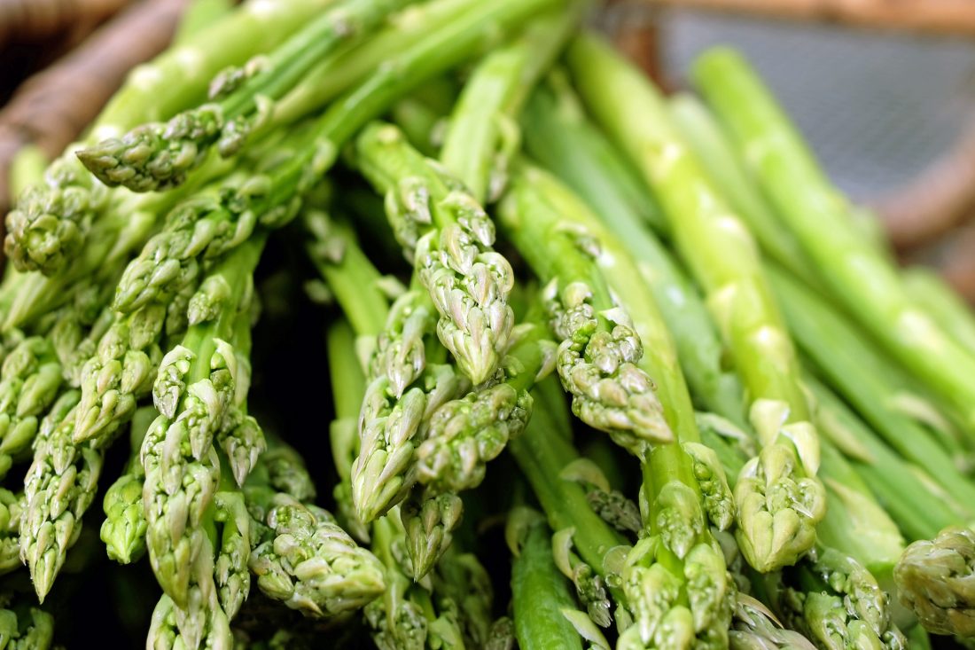 Free stock image of Green Asparagus