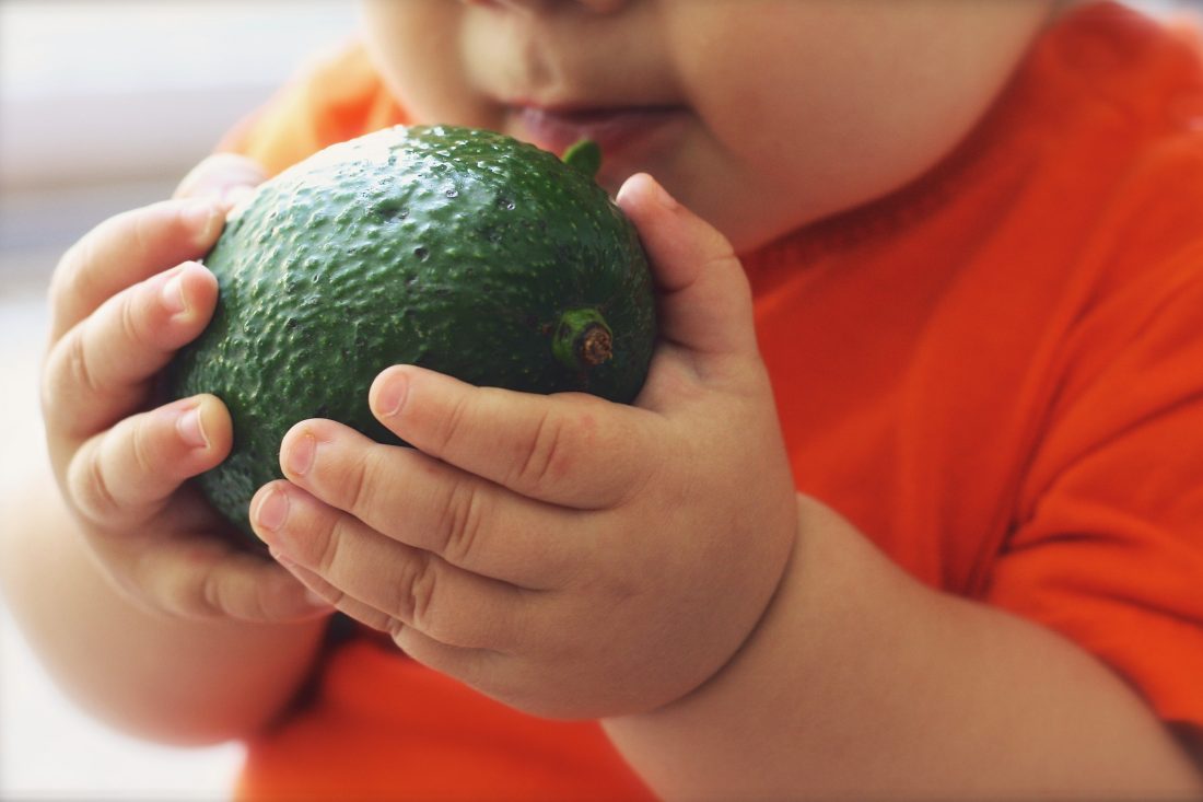 Free stock image of Child with Avocado
