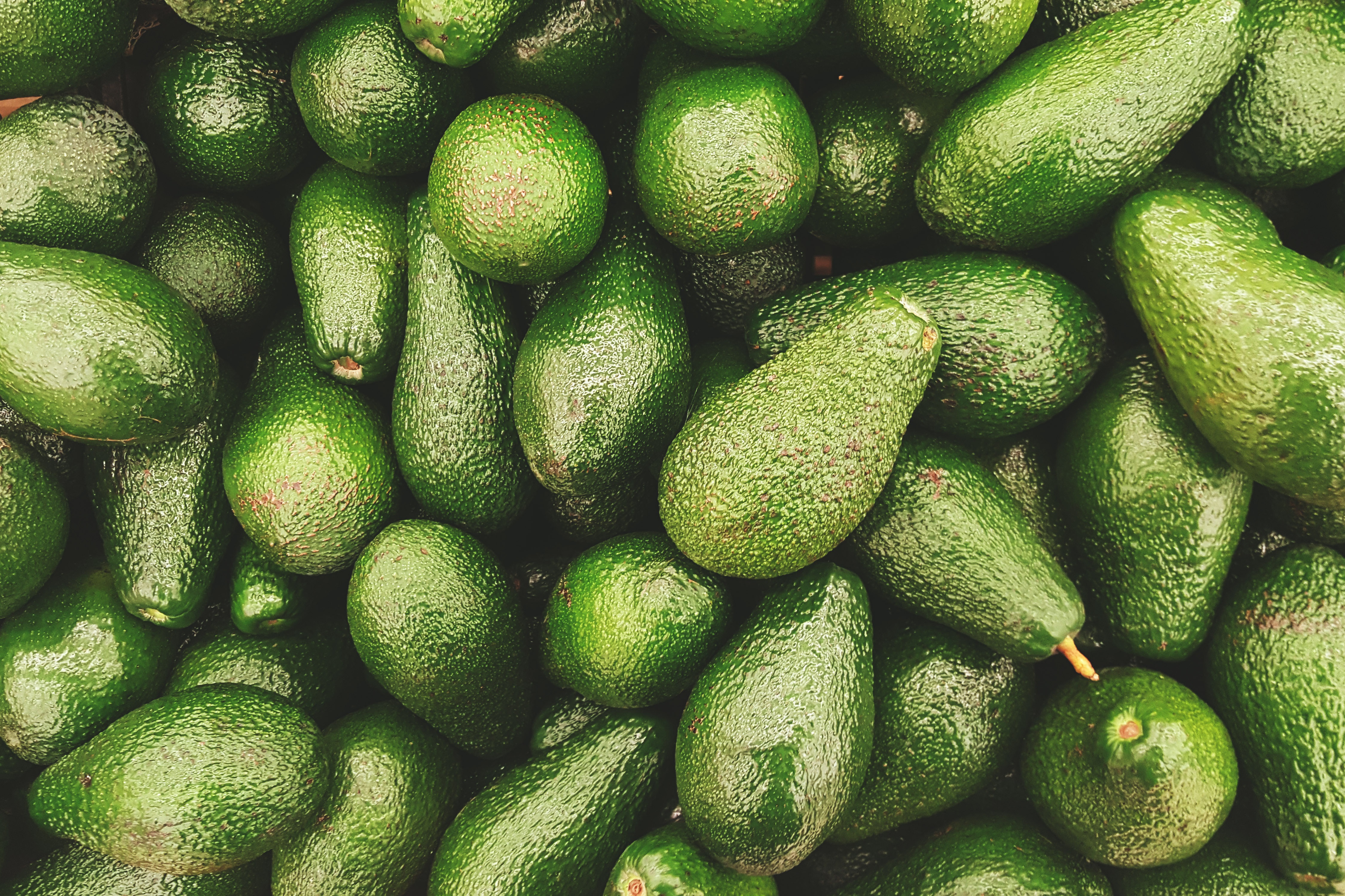 Avocados Background Royalty-Free Stock Photo and Image