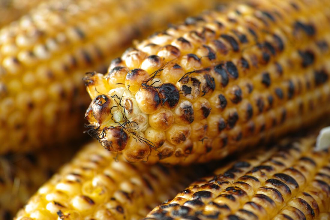 Free stock image of Corn on BBQ