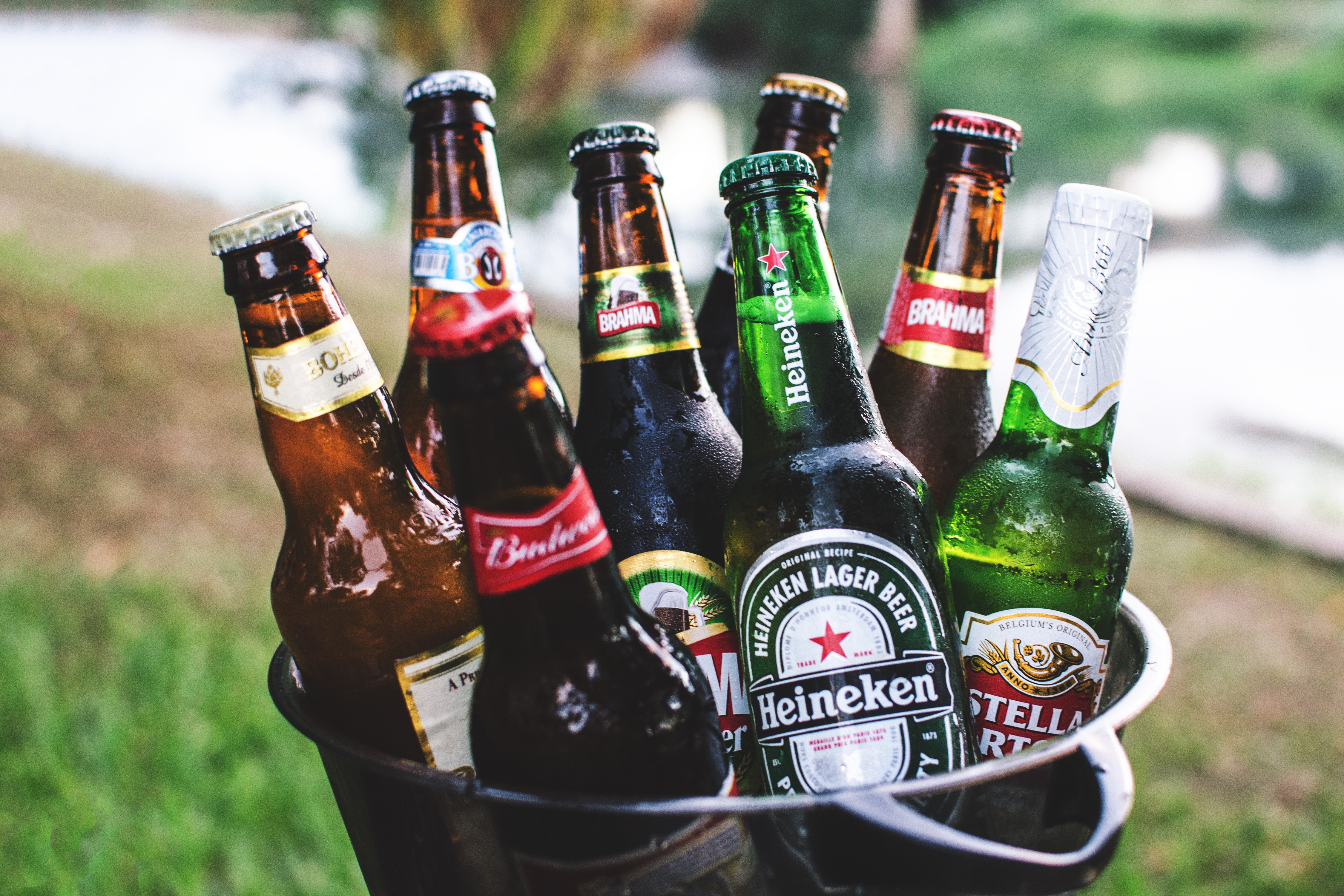Cold Beers in Bucket Royalty-Free Stock Photo