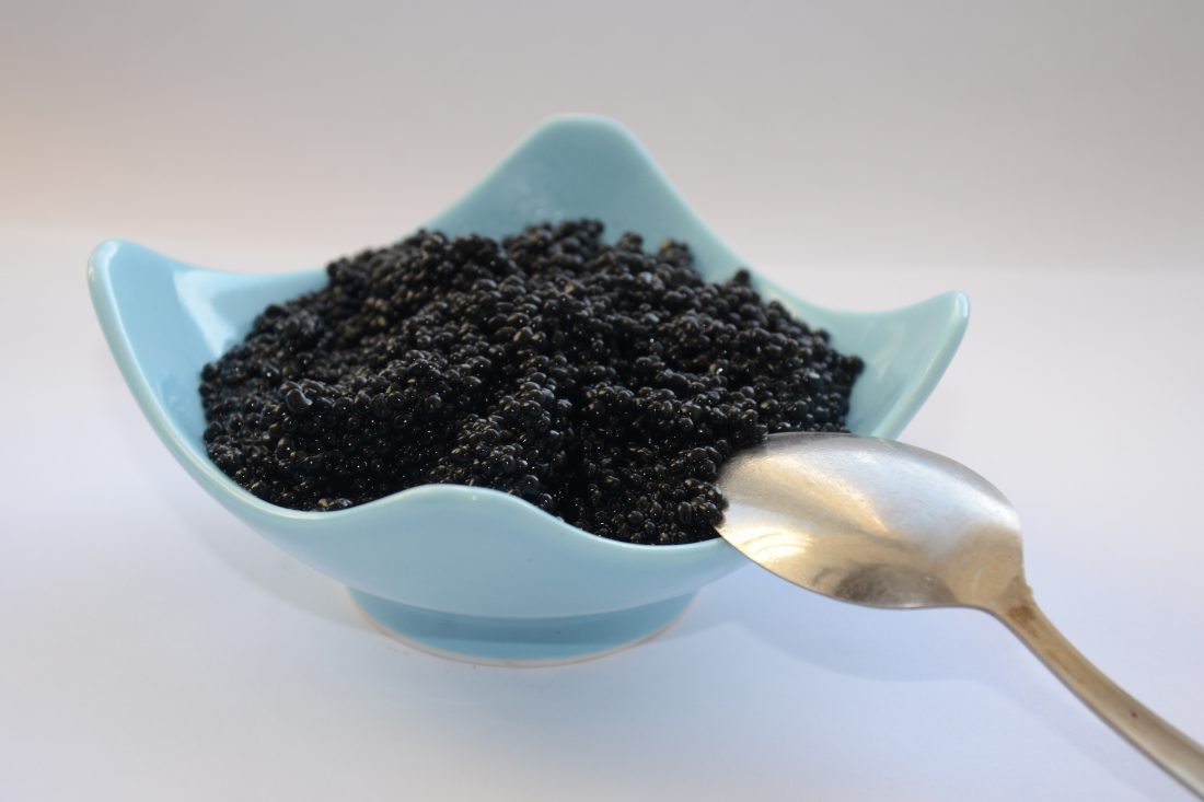 Free stock image of Black Caviar