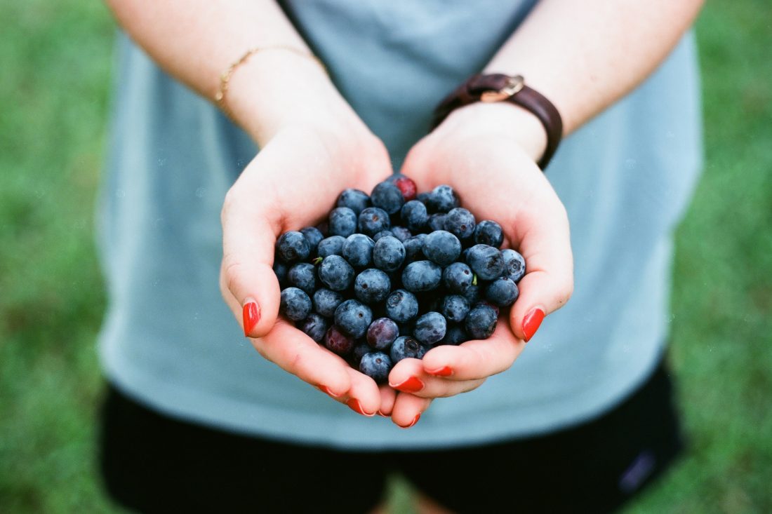 Free stock image of Holding Blueberries