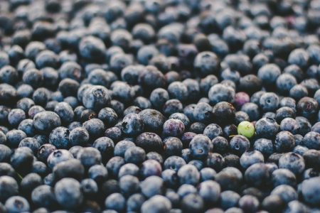 Blueberries Background