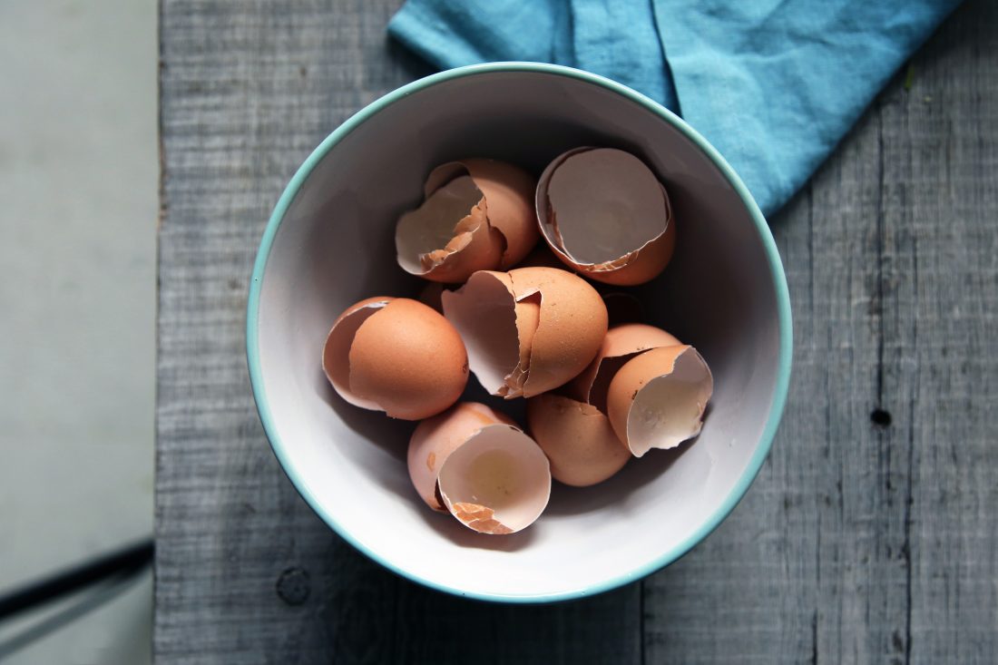 Free stock image of Broken Eggs