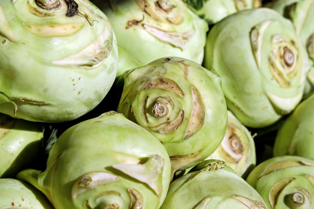 Free stock image of Cabbage Vegetables