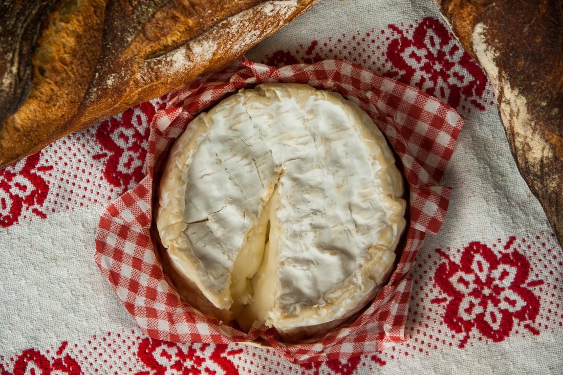 Free stock image of Camembert Cheese