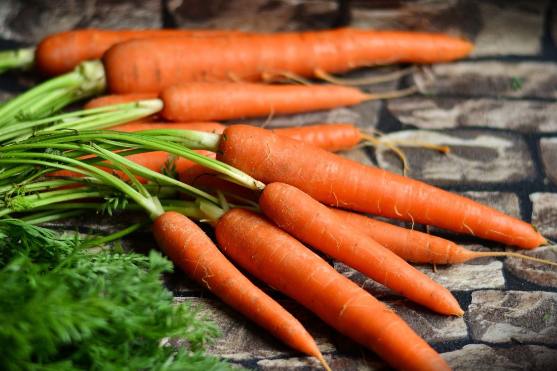 Free stock image of Fresh Carrots