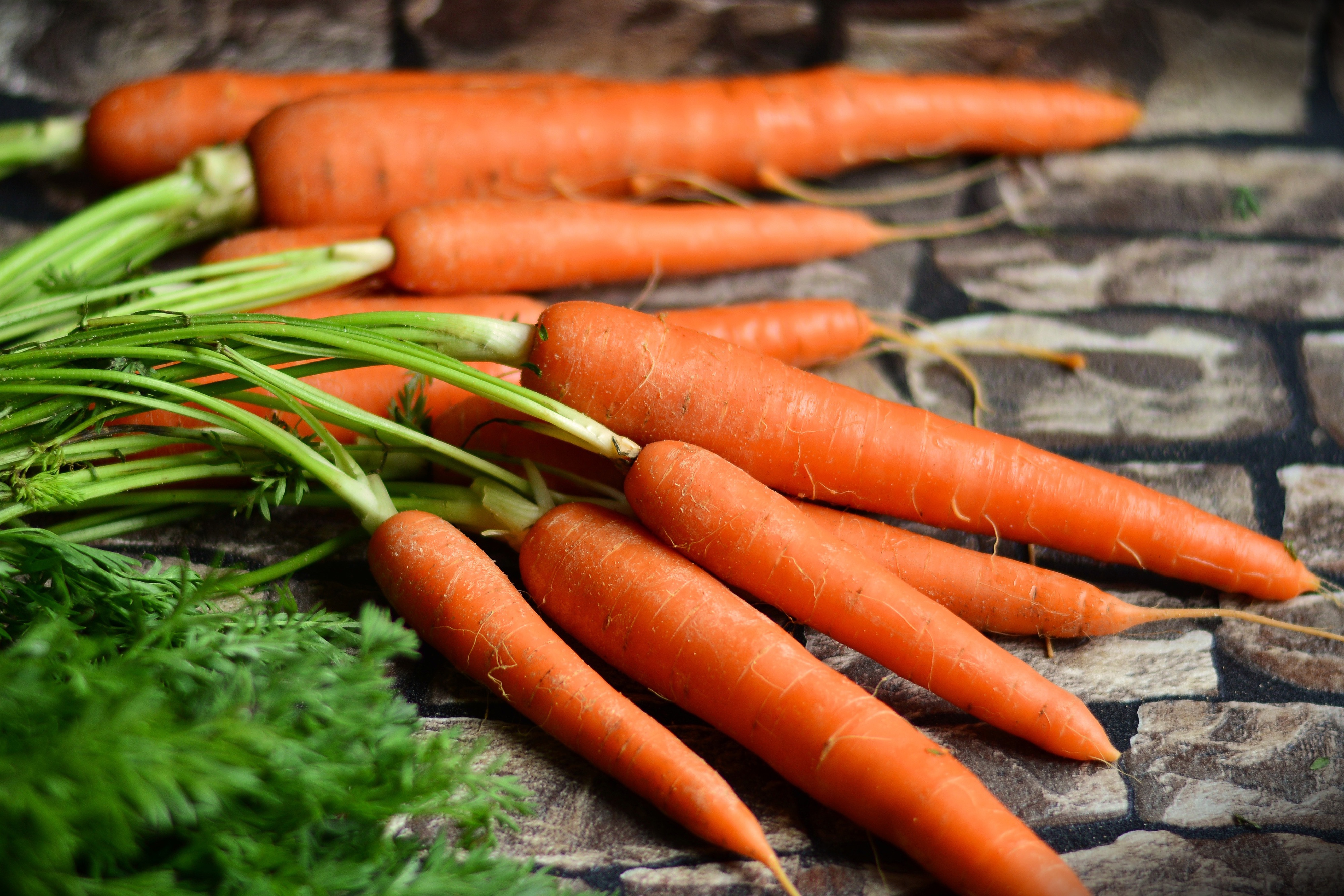 Морковь дикая купить. Морковь Берликум Роял. Морковь сортотип Флакке. Морковь Концерто. Морковь деликатесная.