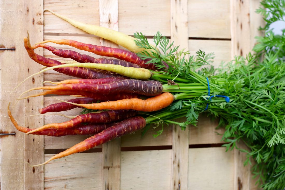 Free stock image of Organic Carrots