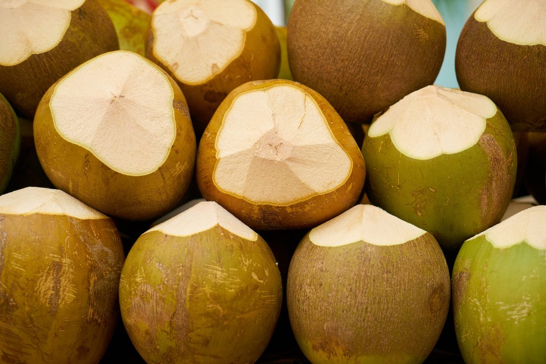 Free stock image of Tropical Coconuts