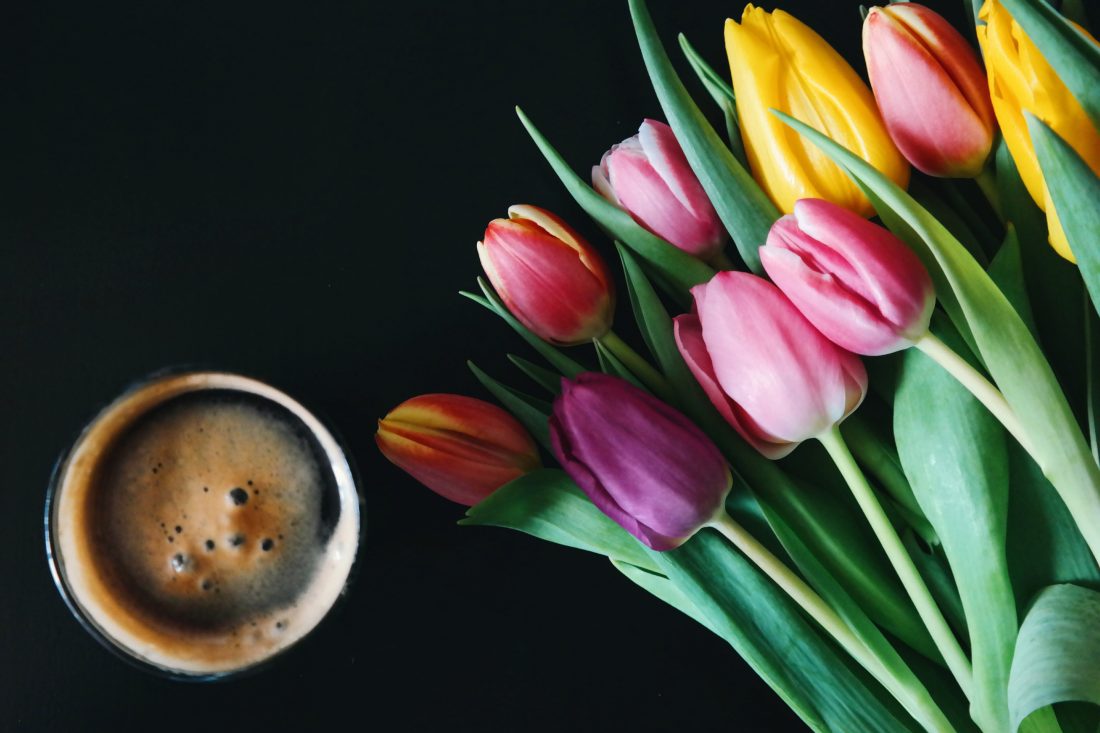 Free stock image of Coffee & Tulips Flowers