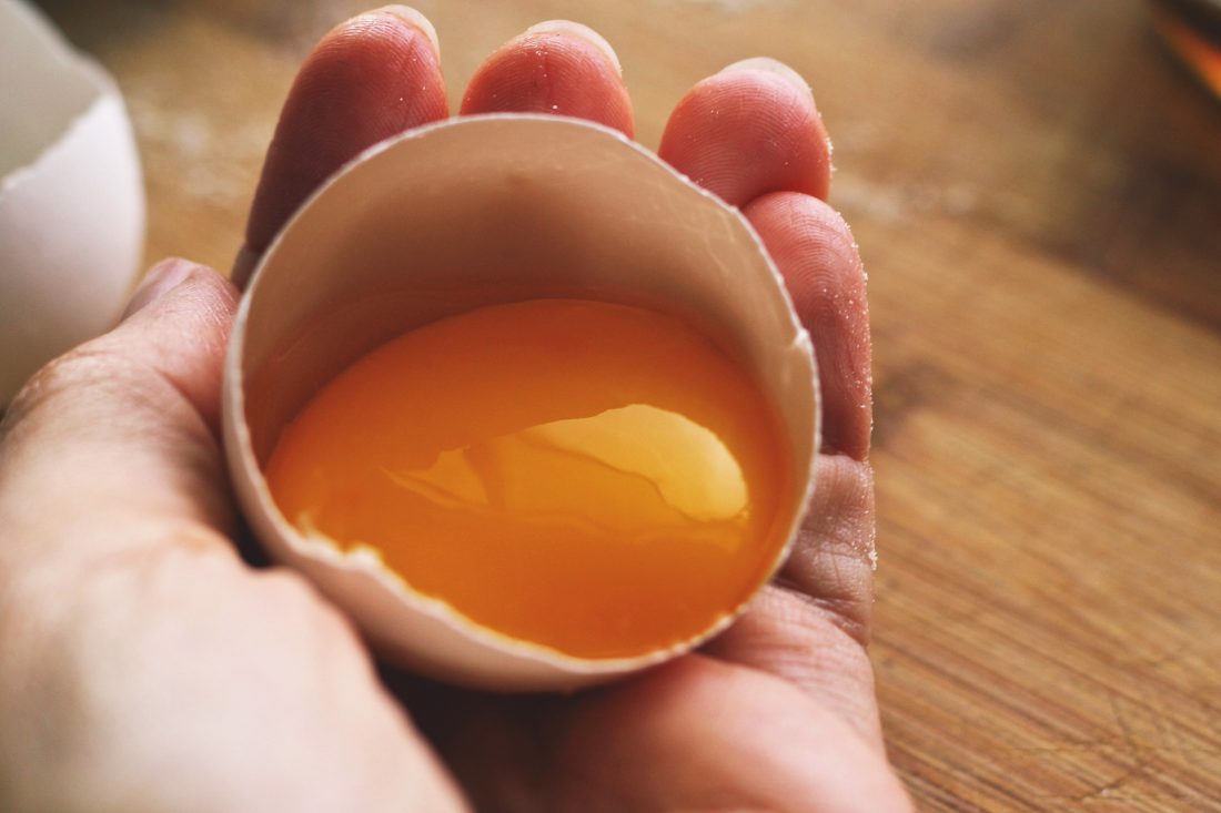 Free stock image of Egg Yoke