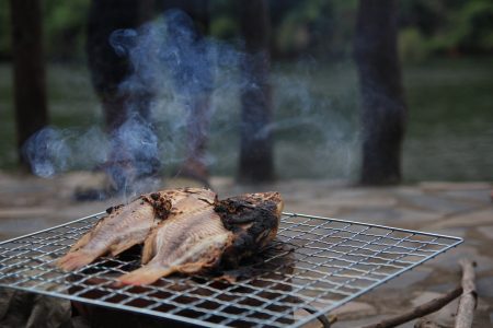 Fish on BBQ Grill