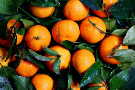 Fresh Oranges