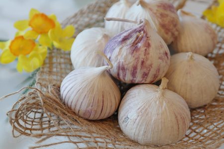 Garlic Herb