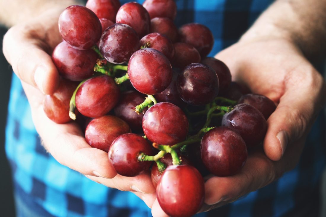 Free stock image of H&s Holding Grapes