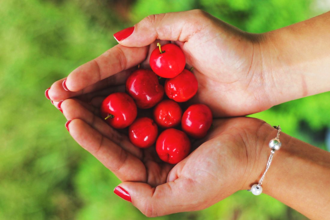 Free stock image of Woman Holding Cherries