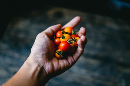 H& Holding Tomatoes