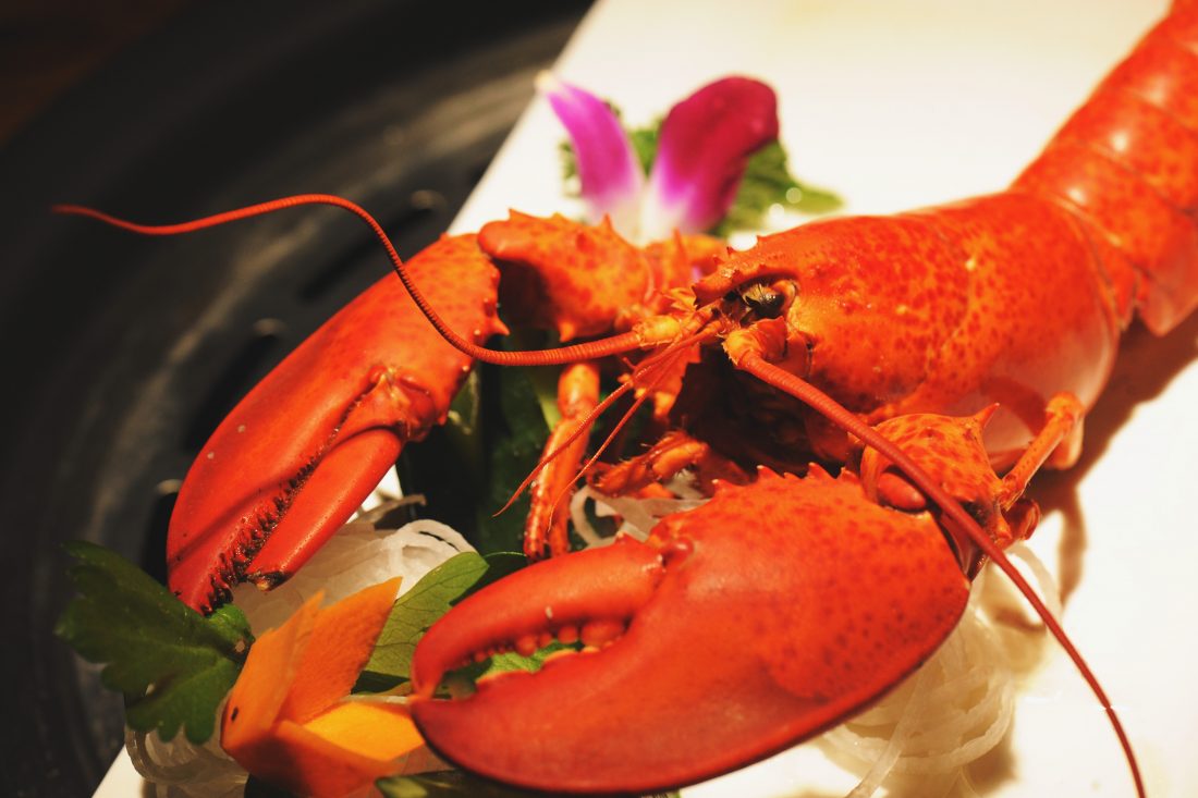 Free stock image of Fresh Lobster